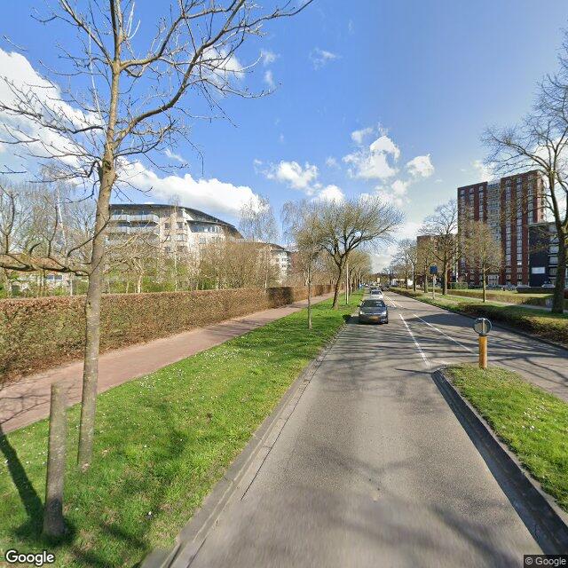 Groenstrook langs A50 uitlaatgebied