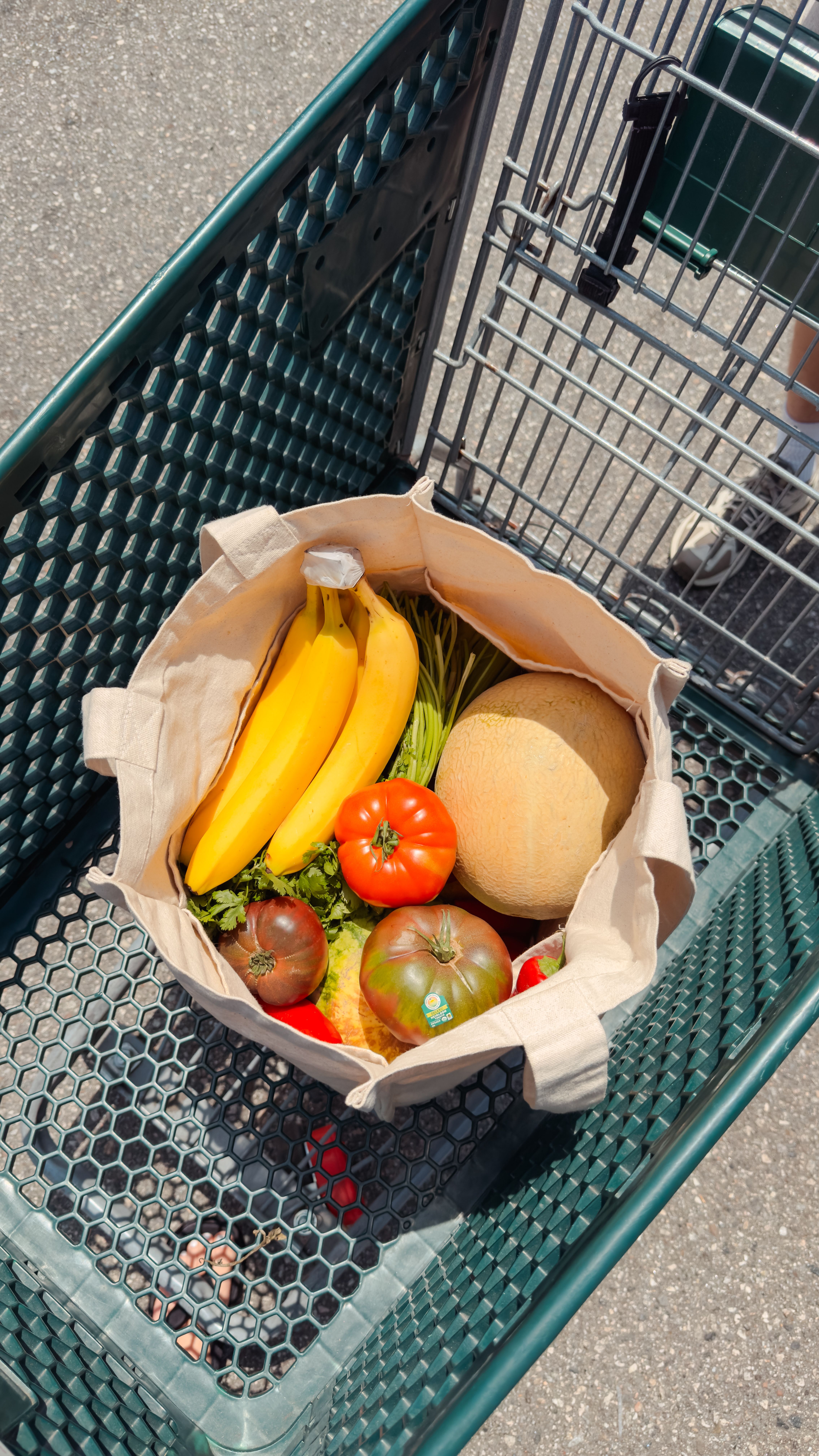shopping cart full of local produce from the santa monica farmers market