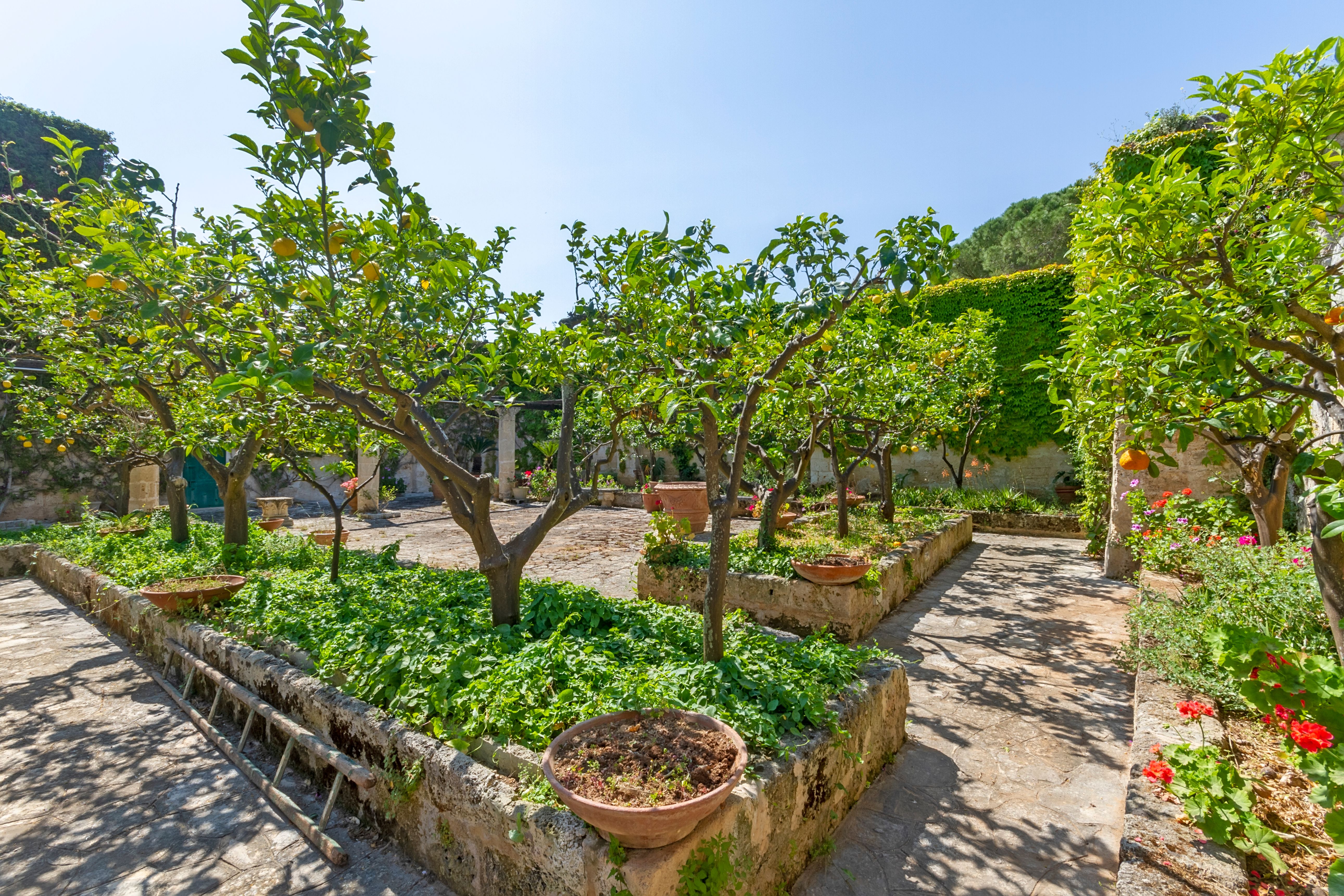 giardino piantumato, muretti con piante e alberi