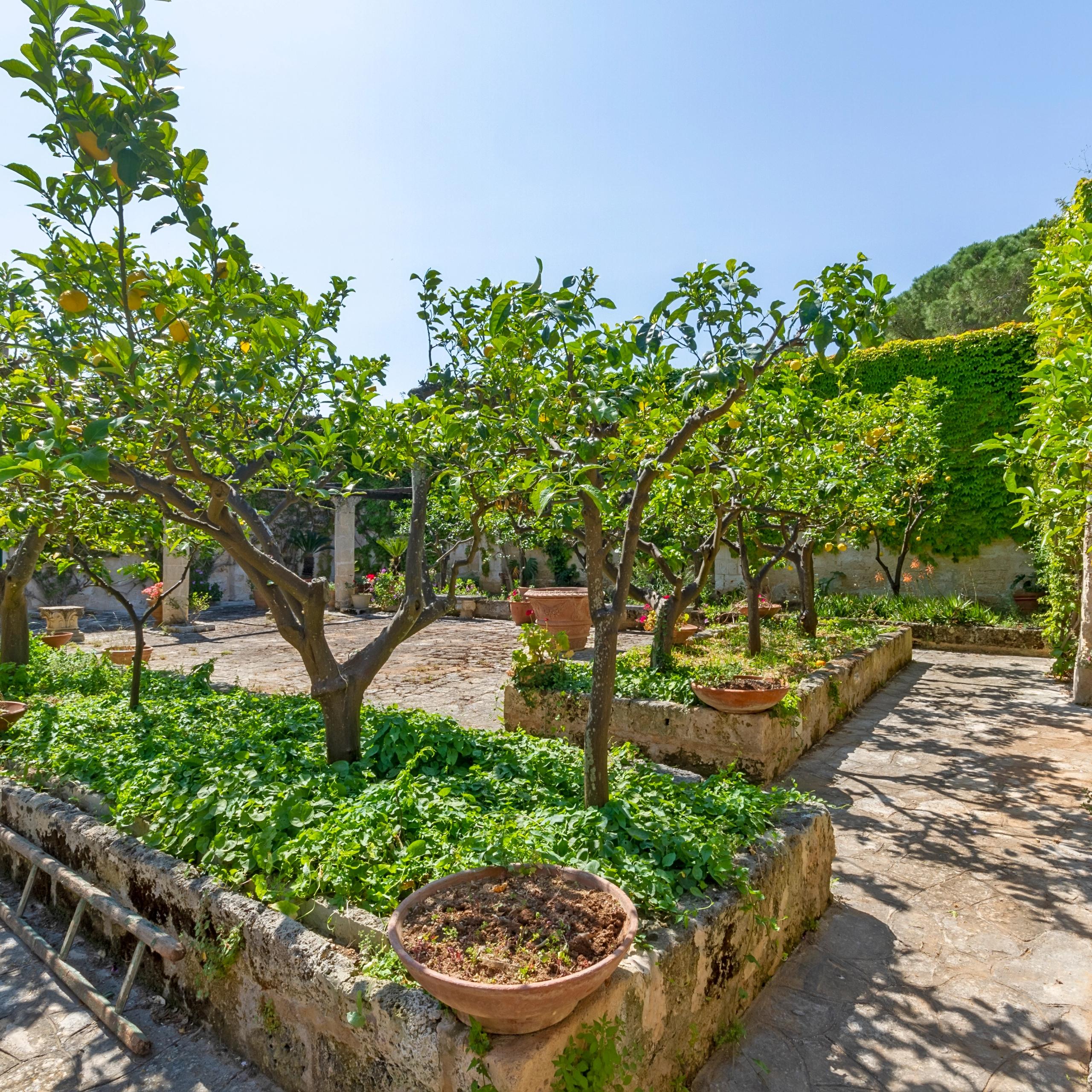 giardino piantumato, muretti con piante e alberi