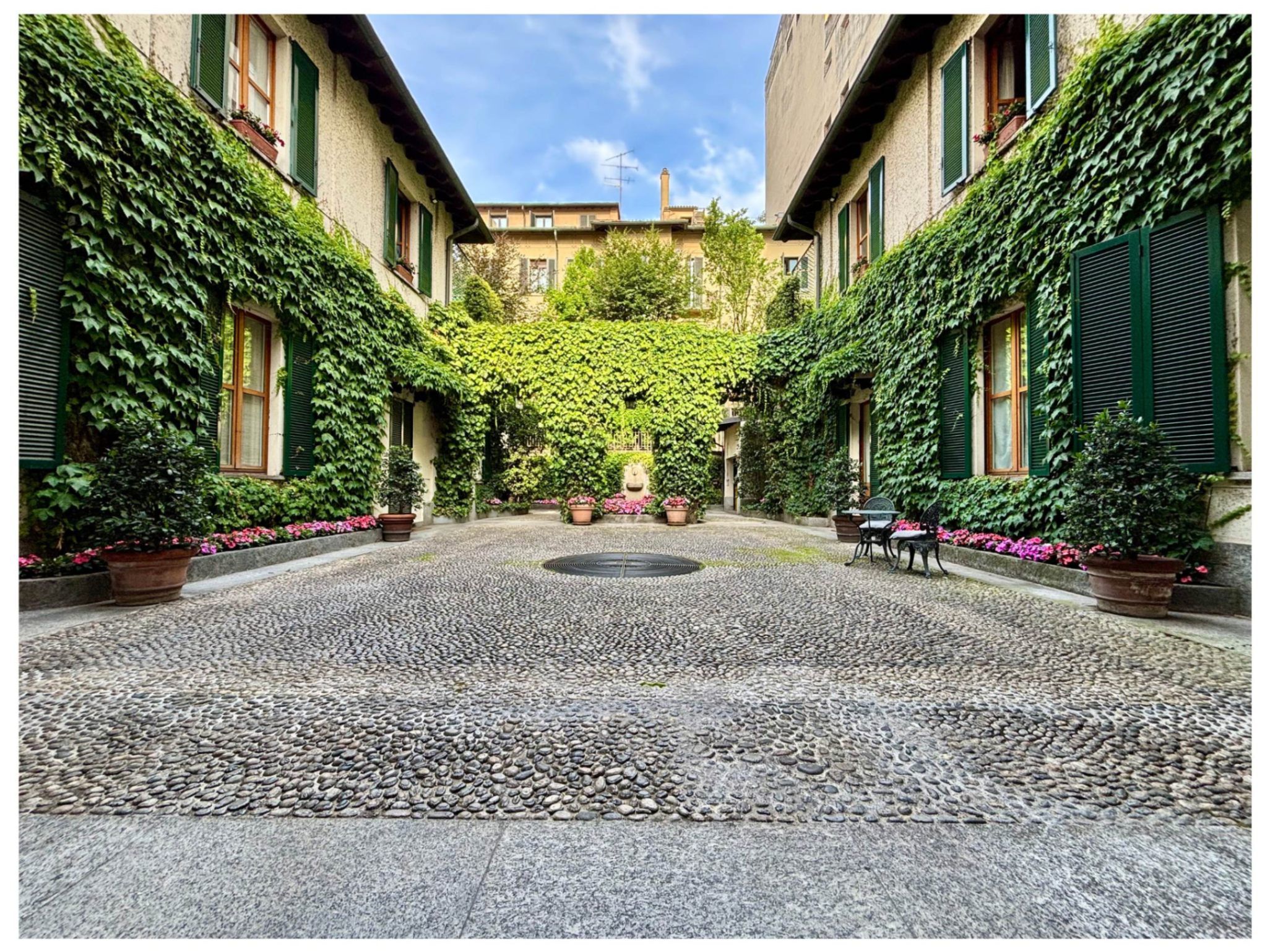 cortile interno, con edera rampicante, finestre e fiori