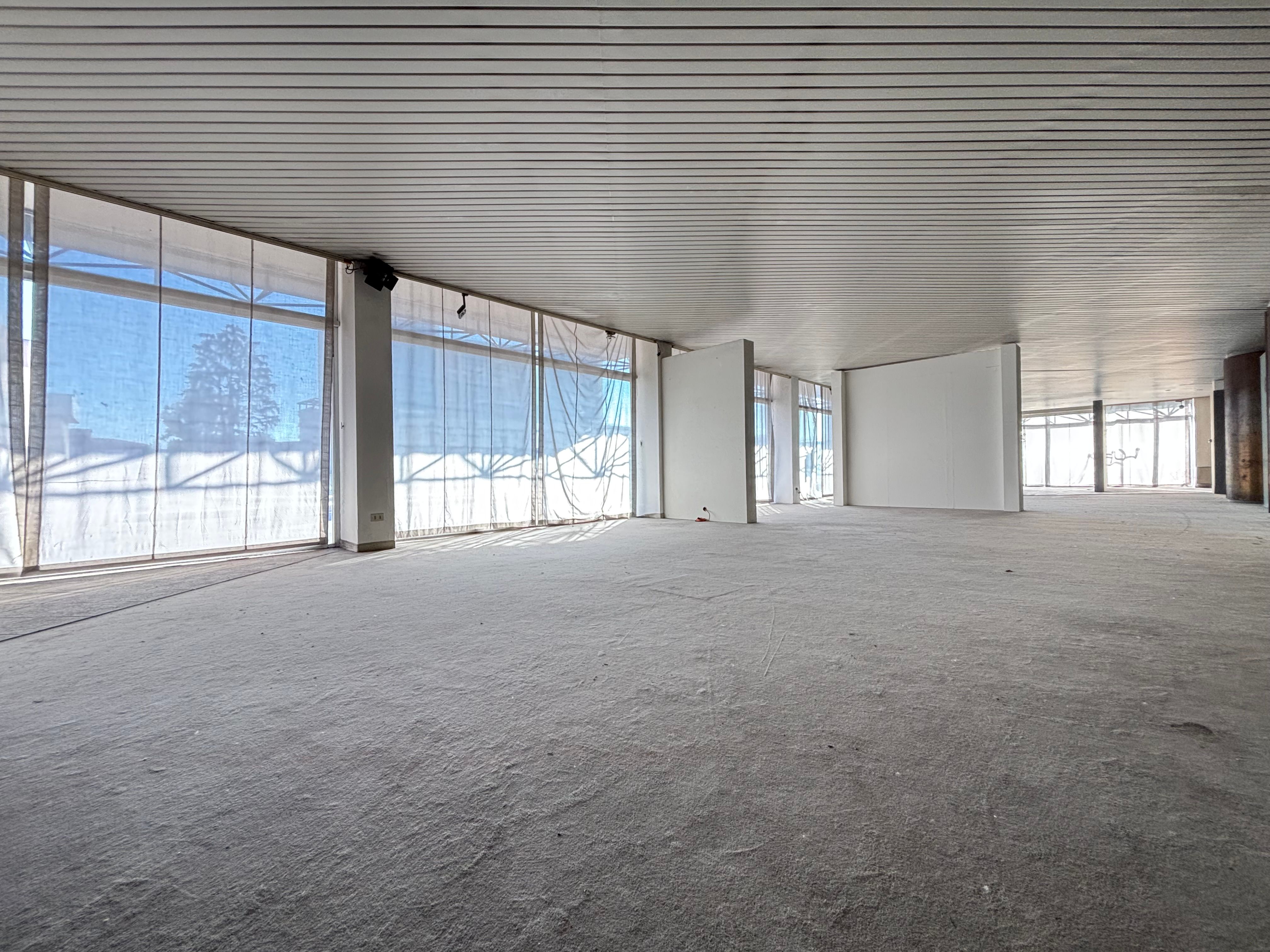 windowed walls, open space office