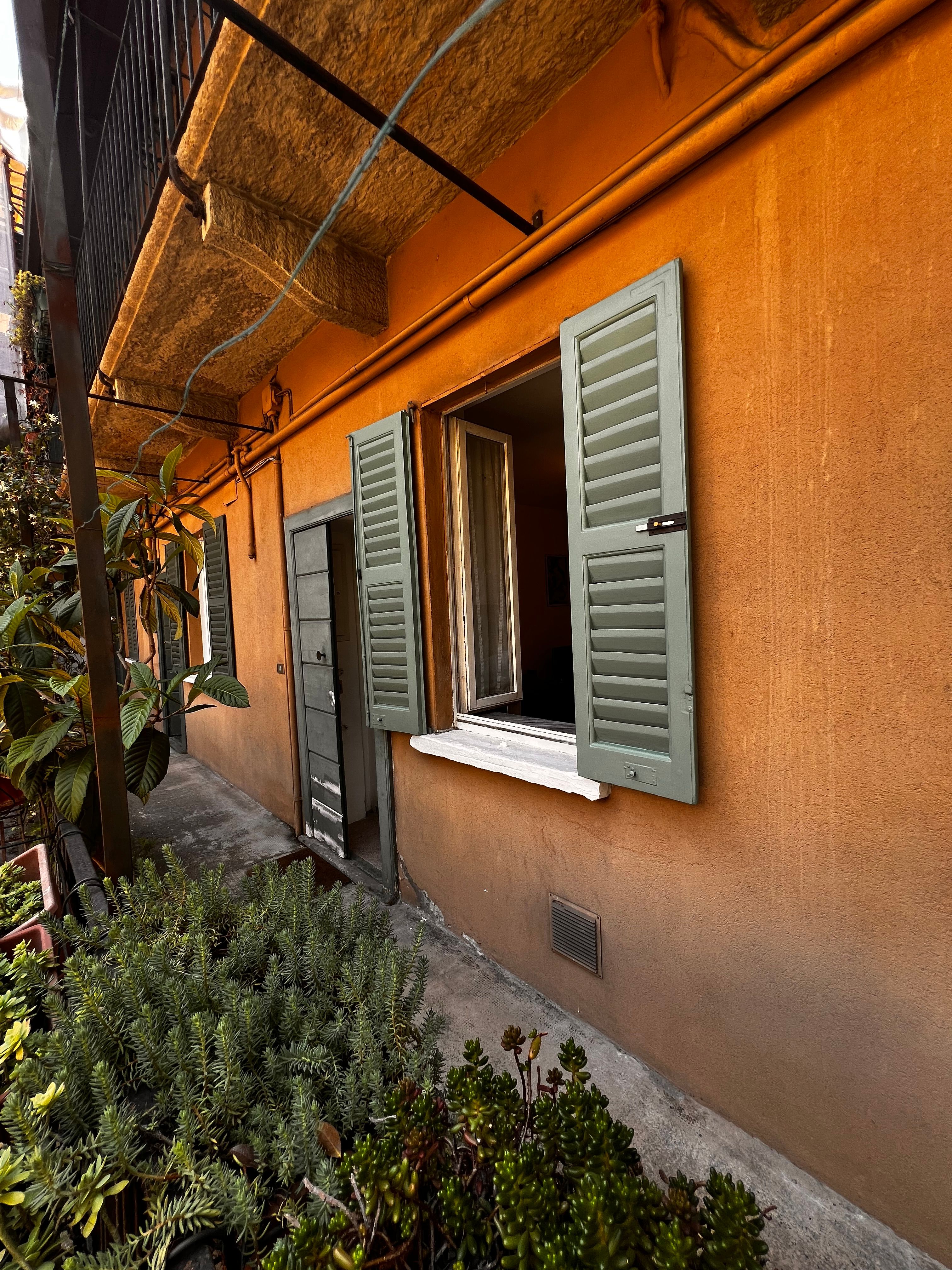 balcone, pianta, finestra, porta
