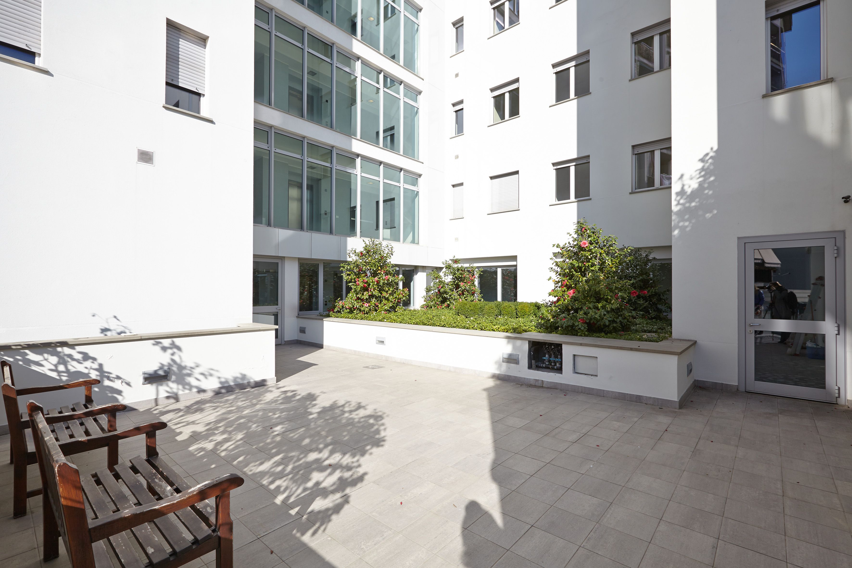 panchine, cortile, piante, edificio, finestre