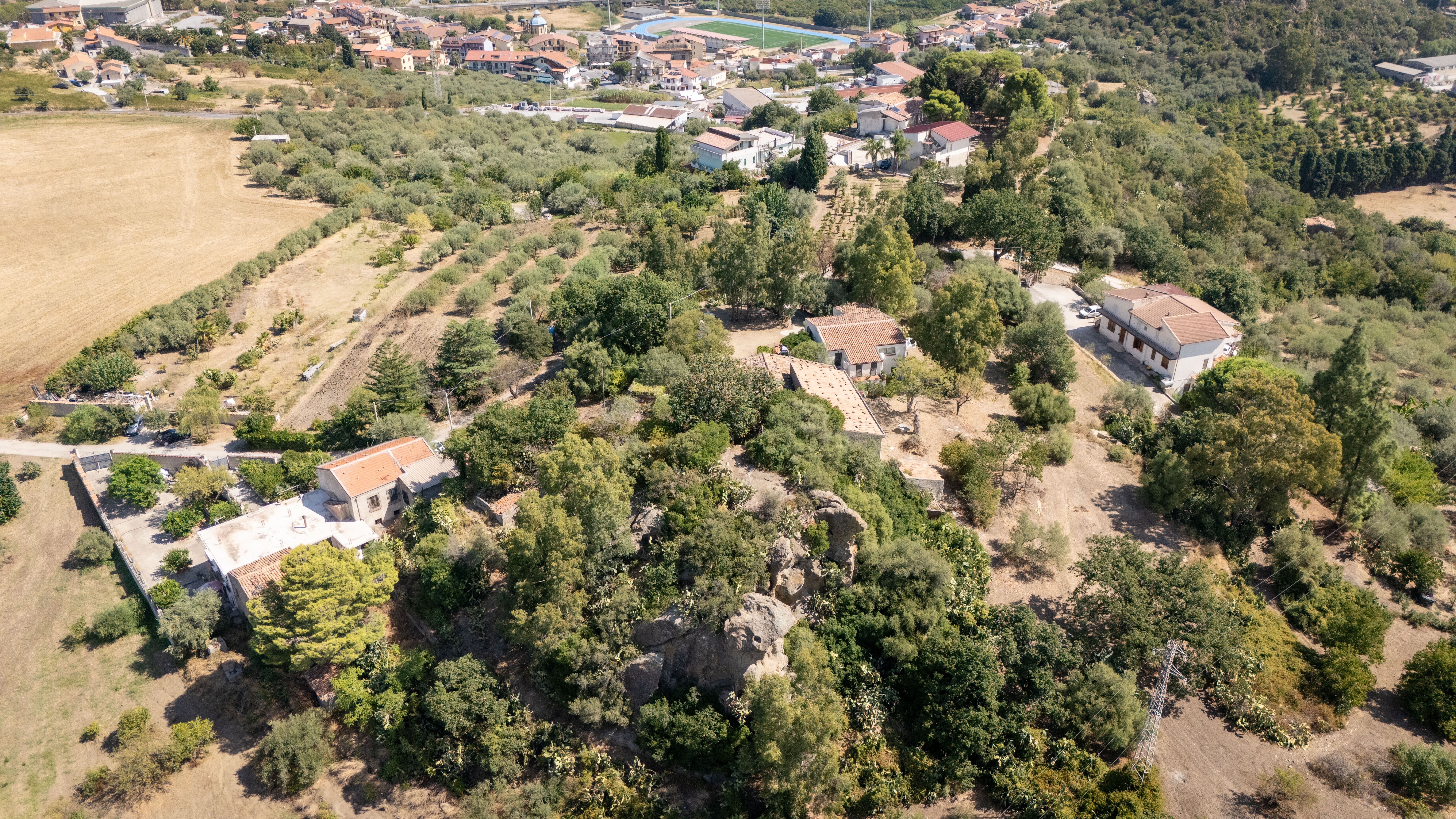 terreno, costruzioni, piante