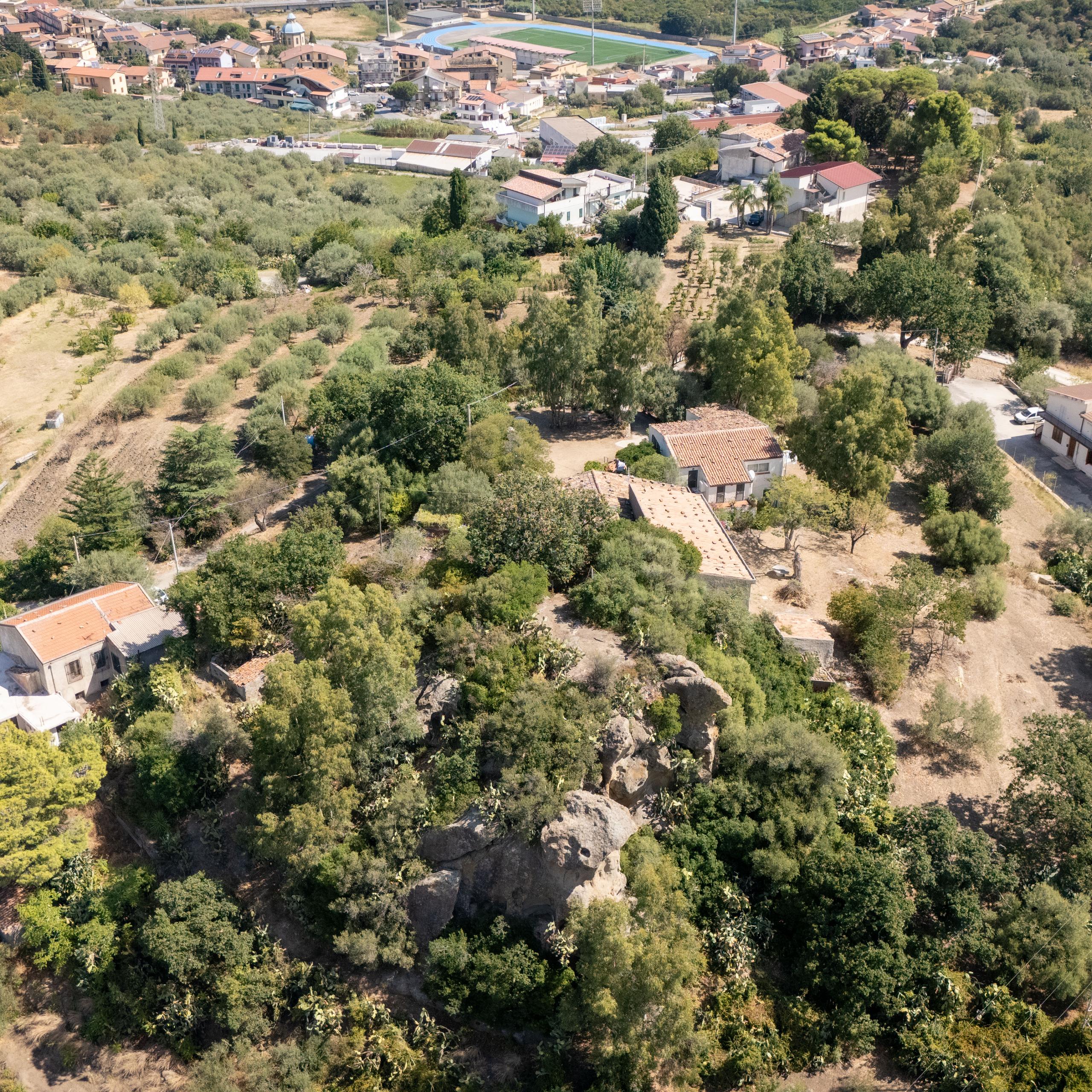 terreno, costruzioni, piante