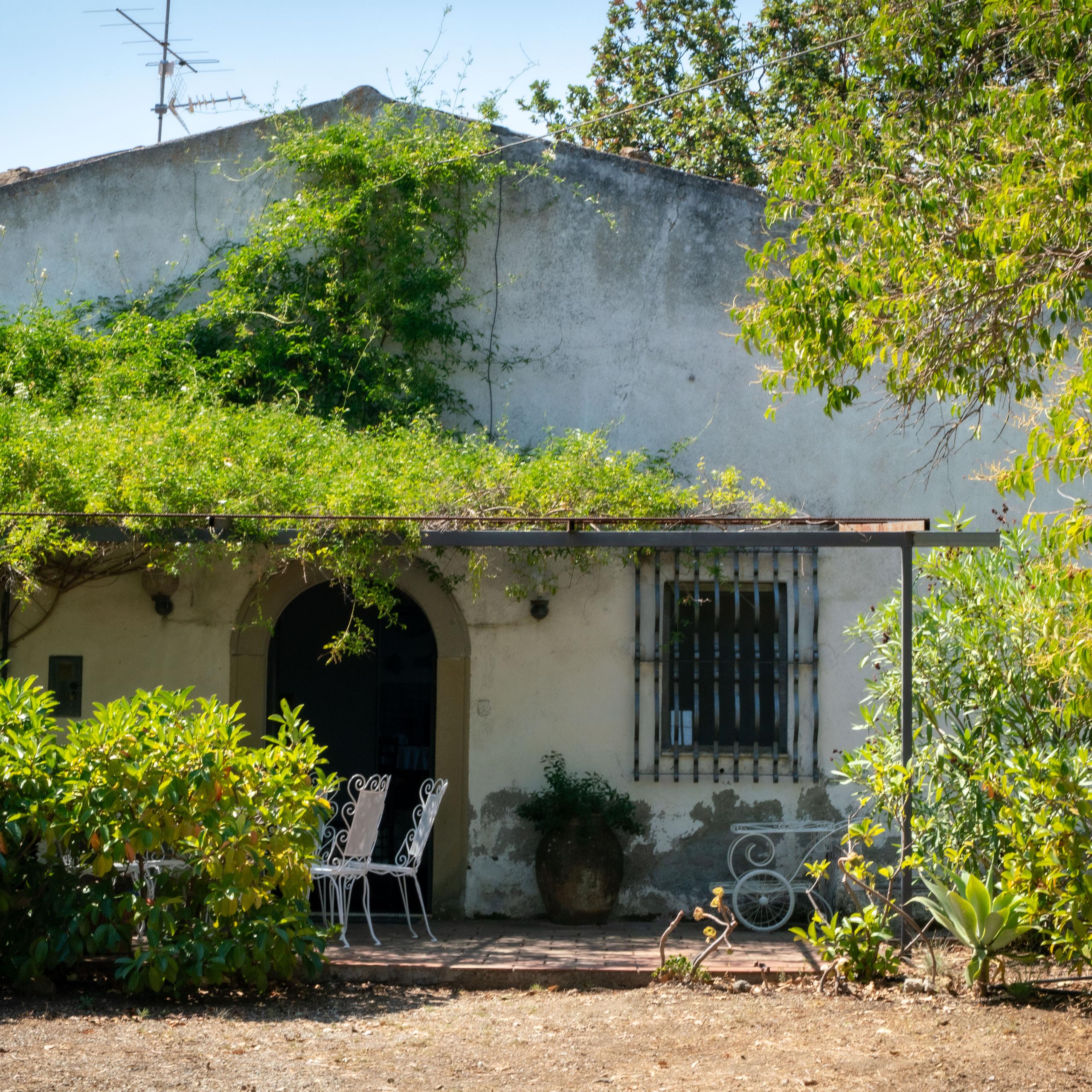 casa, piante rampicanti, sedie, finestre, giardino
