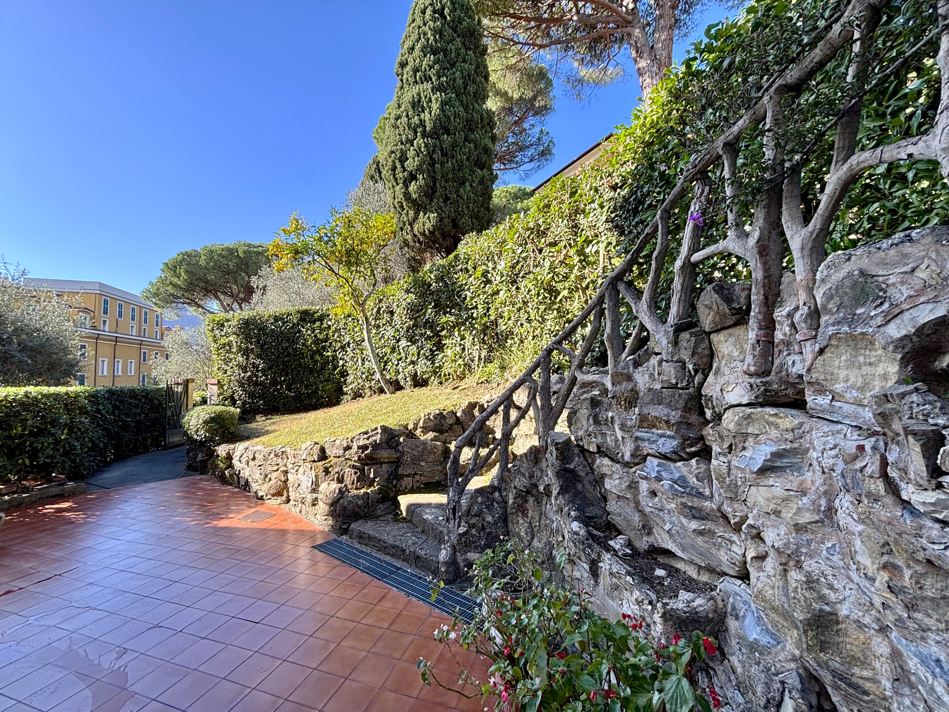 scale, giardino, piante