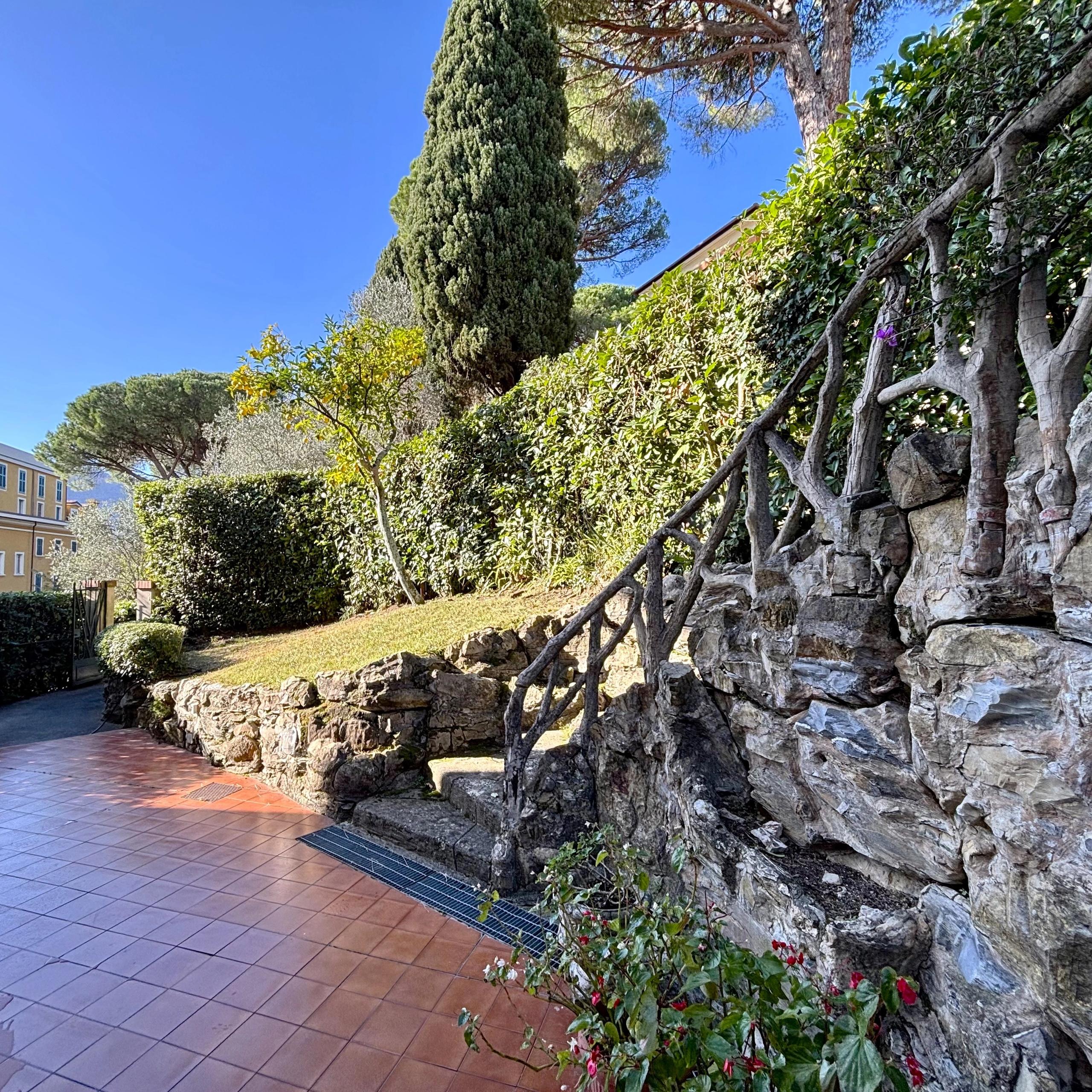 stairs, garden with plants