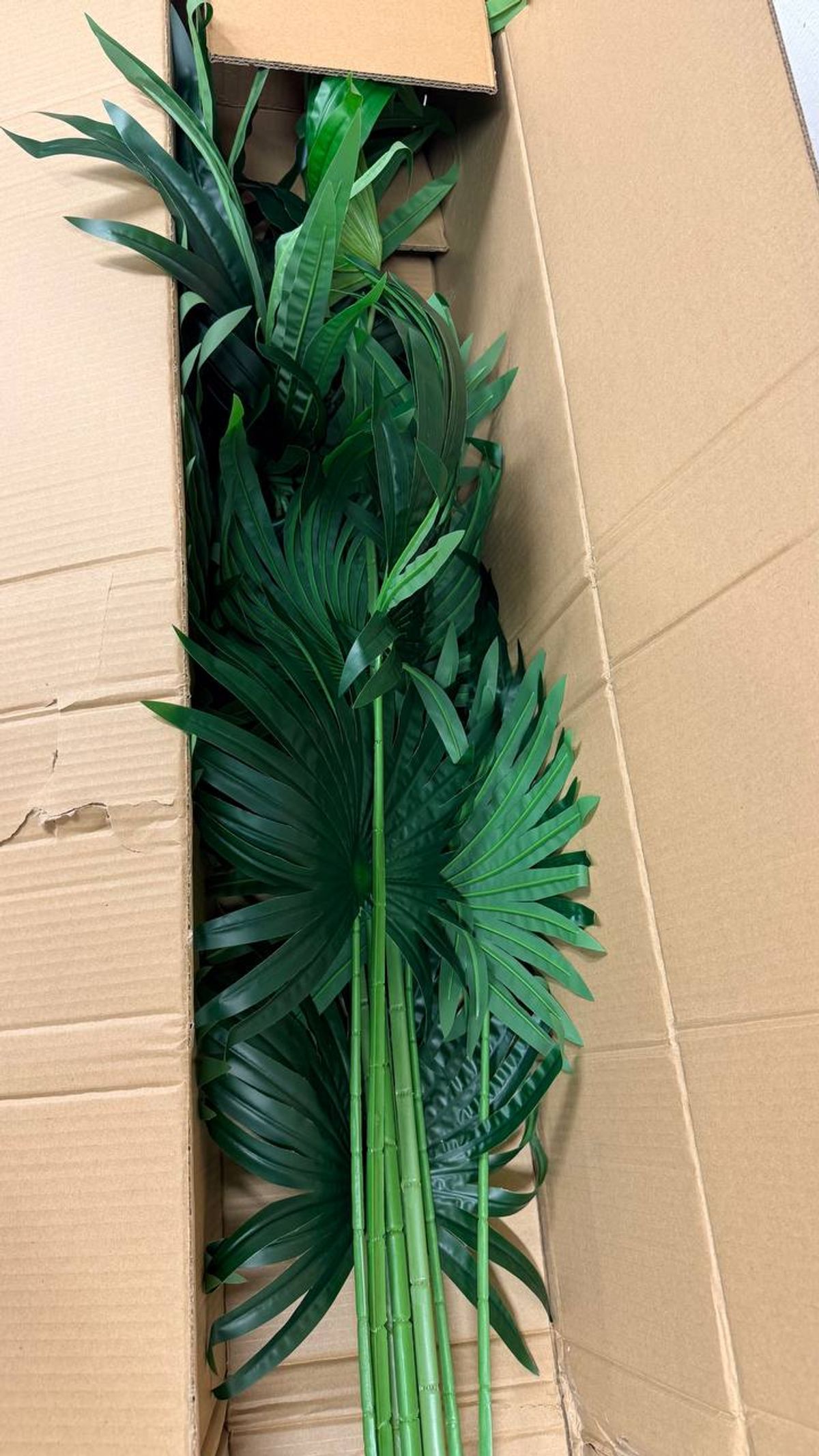 Faux Palm 71” Potted Tree – Safavieh FXP2005A | Brand New 5