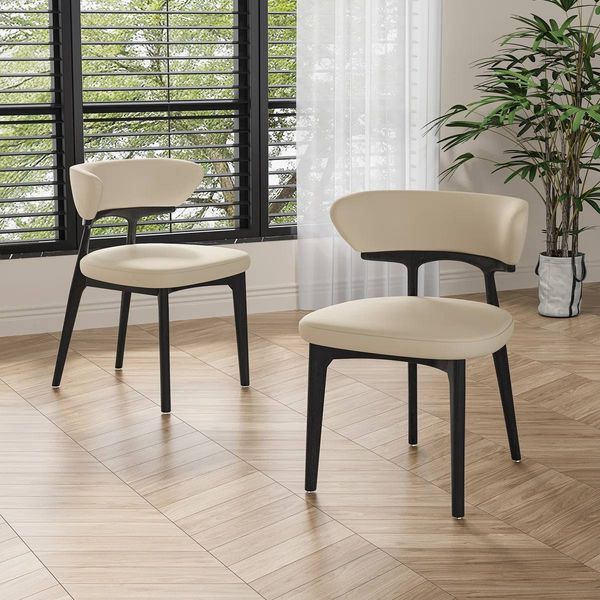 Modern Fully Assembled Dining Chairs Set of 2