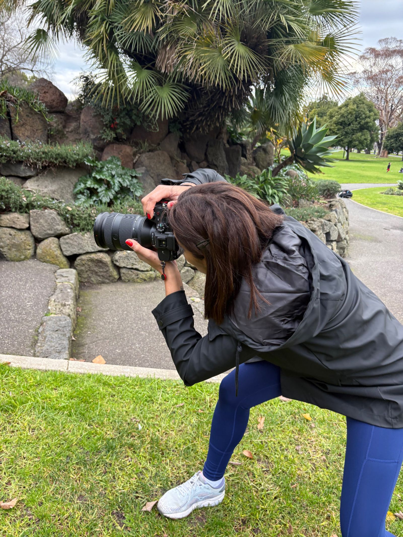 A photographer bending to take a photo among rocks and palms in a park