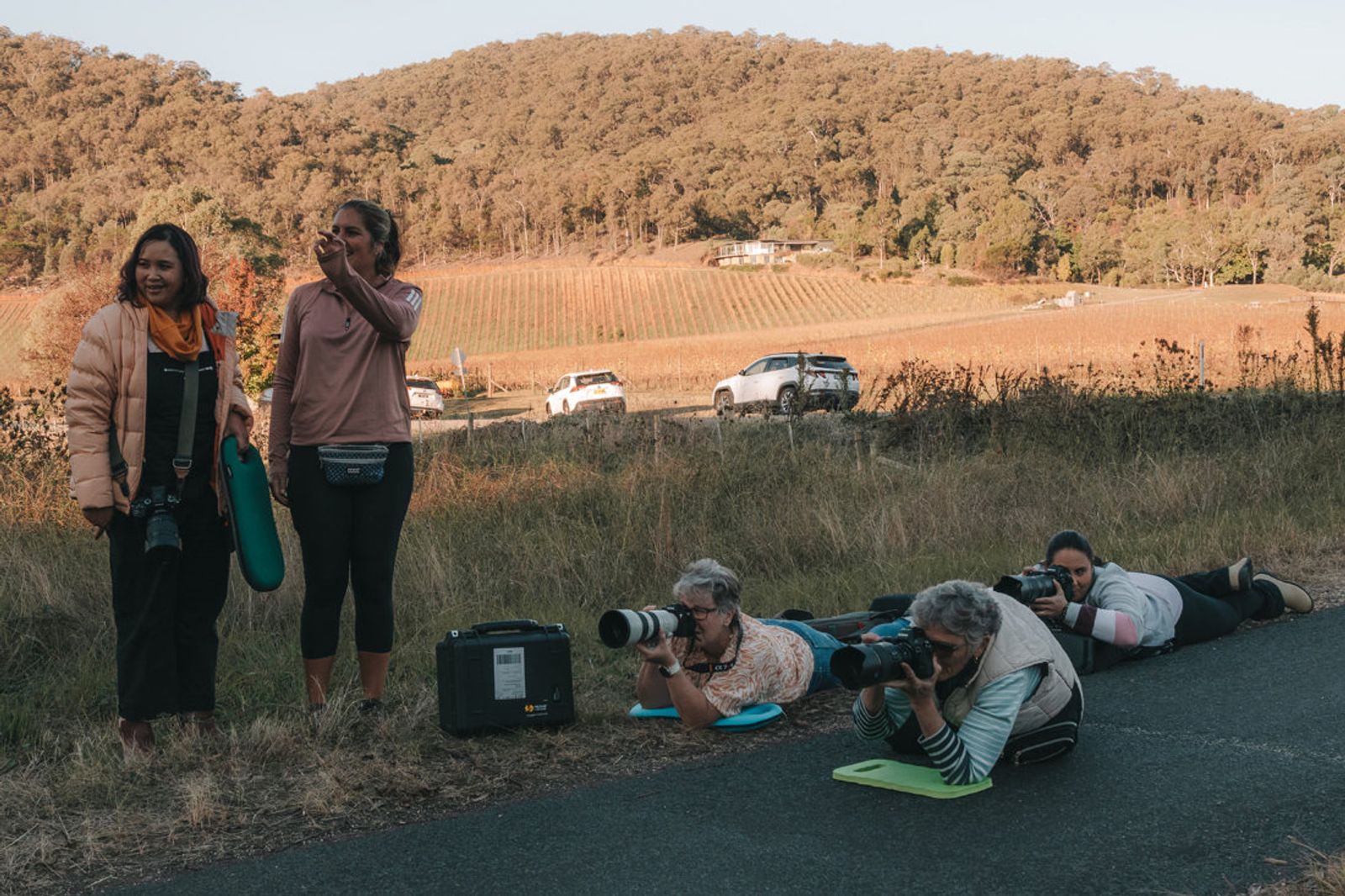A group of photographers on a workshop, some lying on the road to photograph at a vineyard at sunset