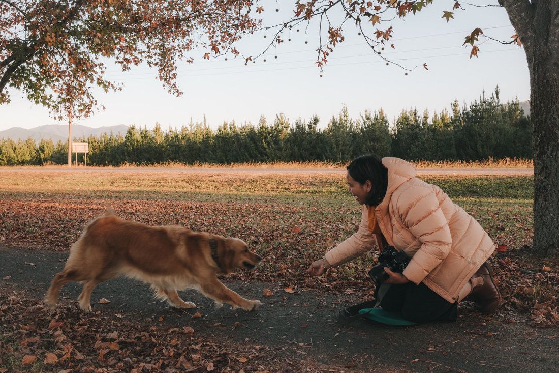 Pet photographer Ina J in a peach jacket crouching to a golden retriever walking through autumn leaves