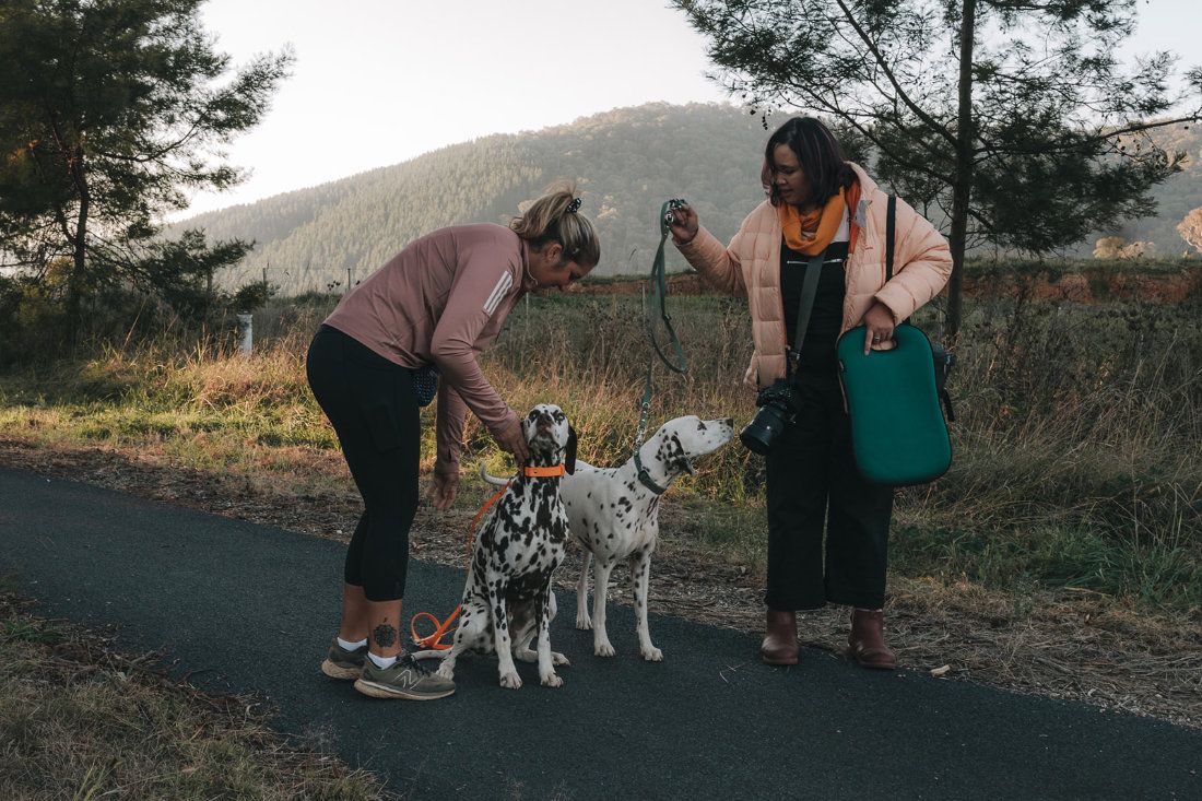 Two women meeting two dalmatians on a country road at golden hour