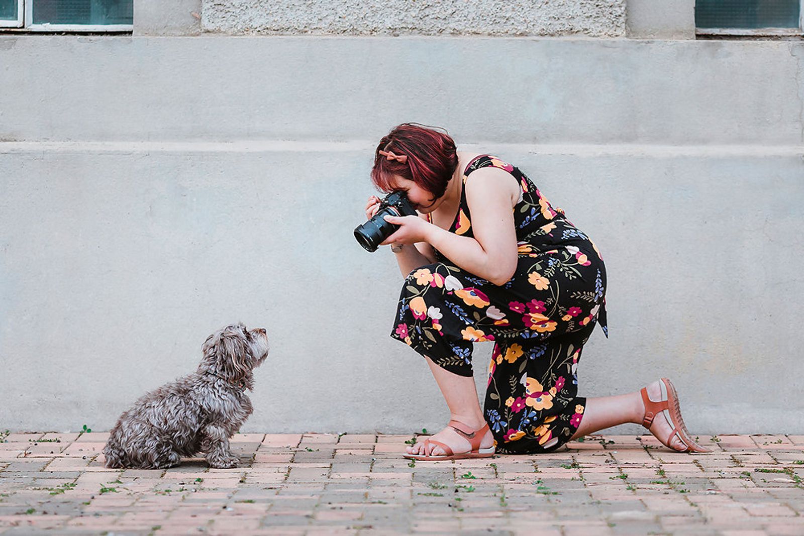 Pet photographer Ina J in a floral jumpsuit kneeling to photograph a small grey dog against a concrete wall