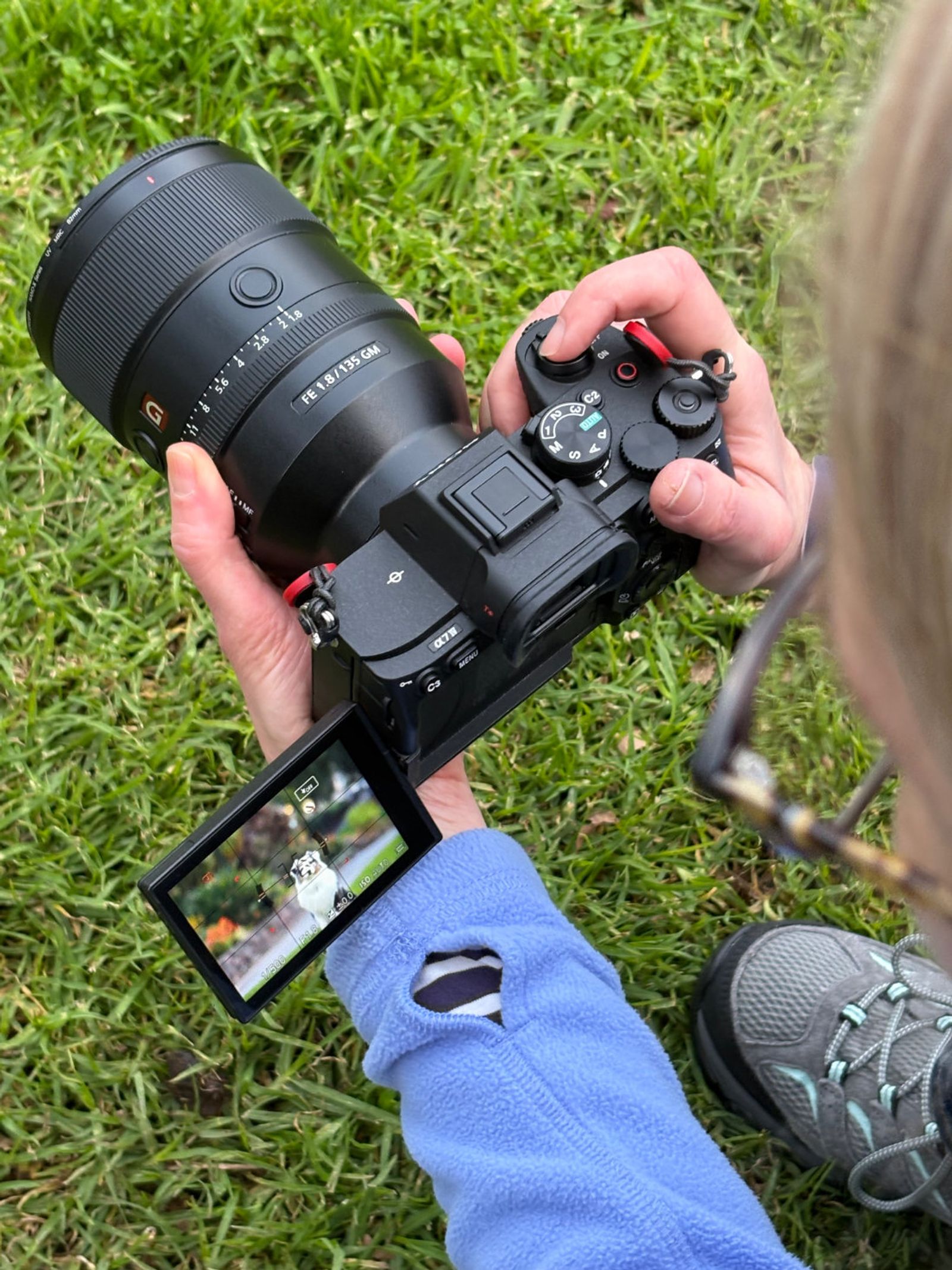 A photographer's hands holding a Sony camera showing a dog on its flip-out screen, out on the grass