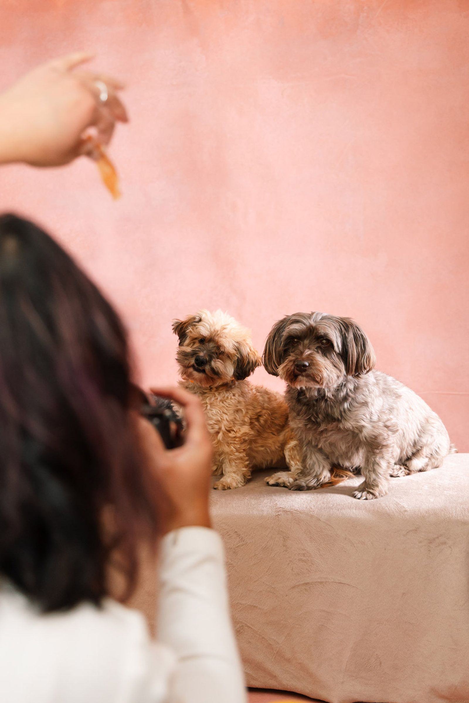 Pet photographer Ina J in the studio looking back over her shoulder, her camera showing a photo on its screen