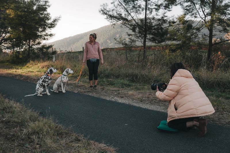 Pet photographer Ina J in a peach puffer jacket kneeling with her camera to photograph two dalmatians on a country road at dawn