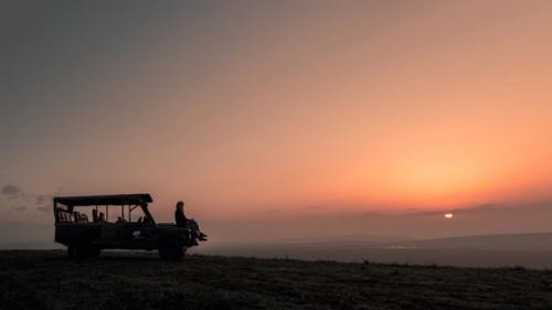 Kenya Safari