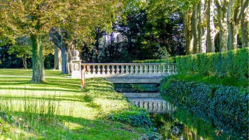 provence-chateau-de-tourreau-luxury-rental