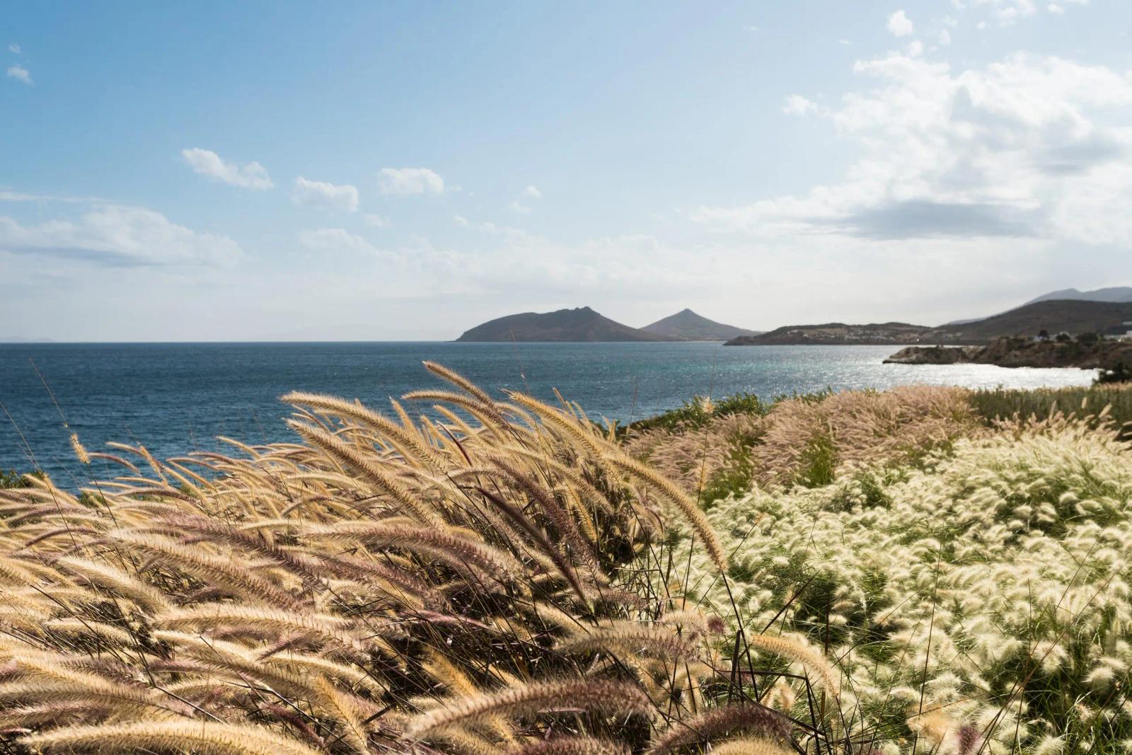 Paros