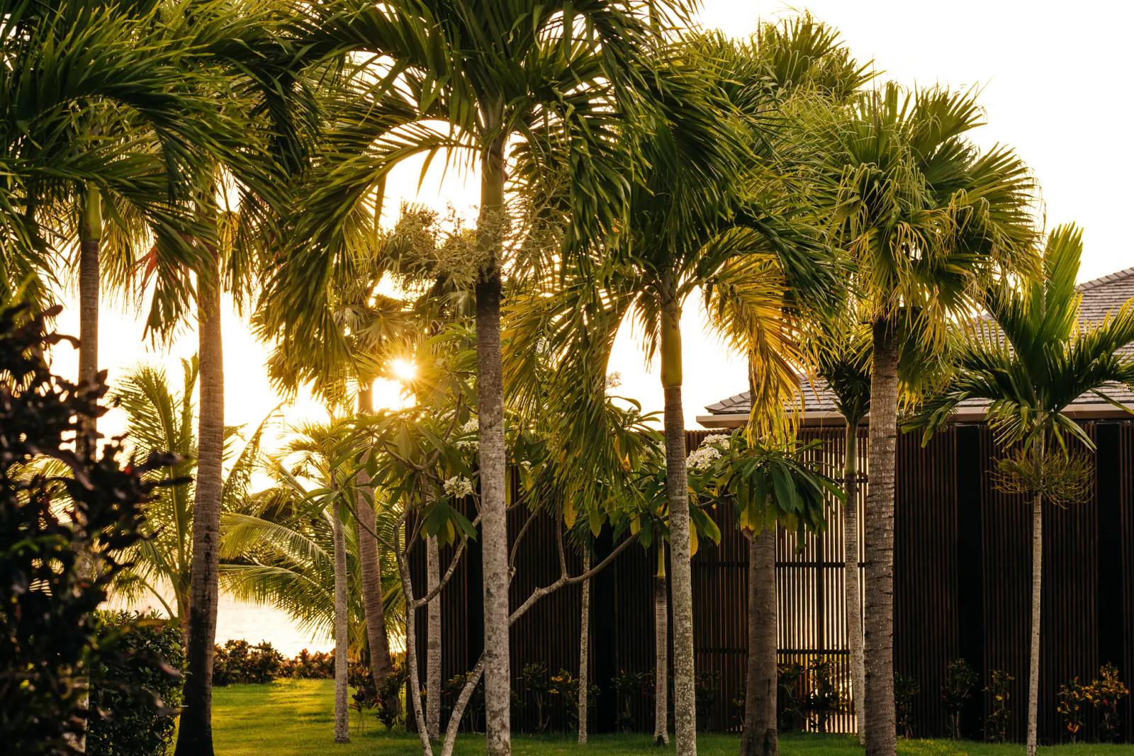 Dominican Republic