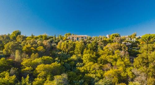 Villa Freya, Cannes, France