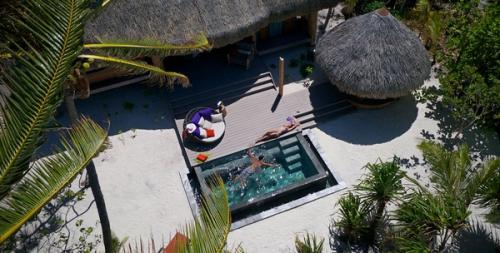 The Brando Private Island French Polynesia Luxury Villa Rental