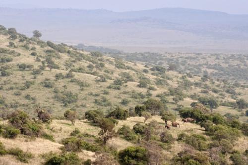Sirai House Borana Kenya