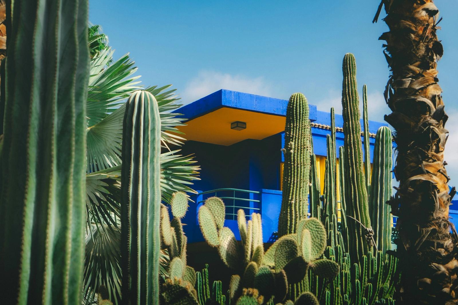 Marrakech