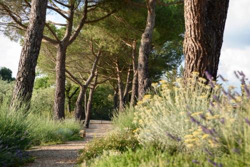 Luxury villa for rent in Tuscany Italy