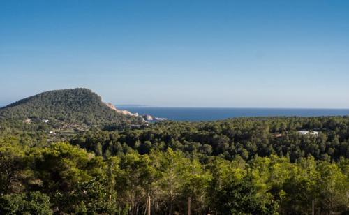 Ibiza Ultra Luxury Vacation Rental