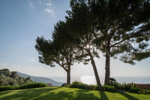 Lovely Design Villa in Tramuntana Mountains near Deia in Mallorca