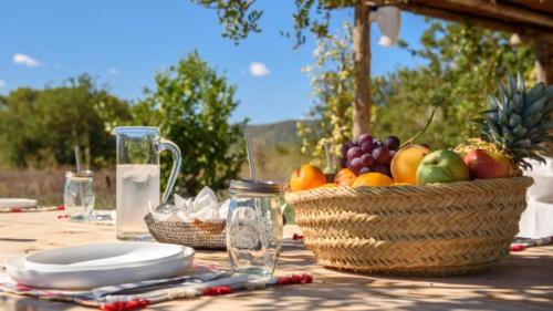 villa los amigos ultra luxury vacation rental Ibiza