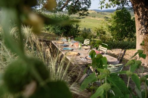 Luxury villa for rent in Tuscany Italy