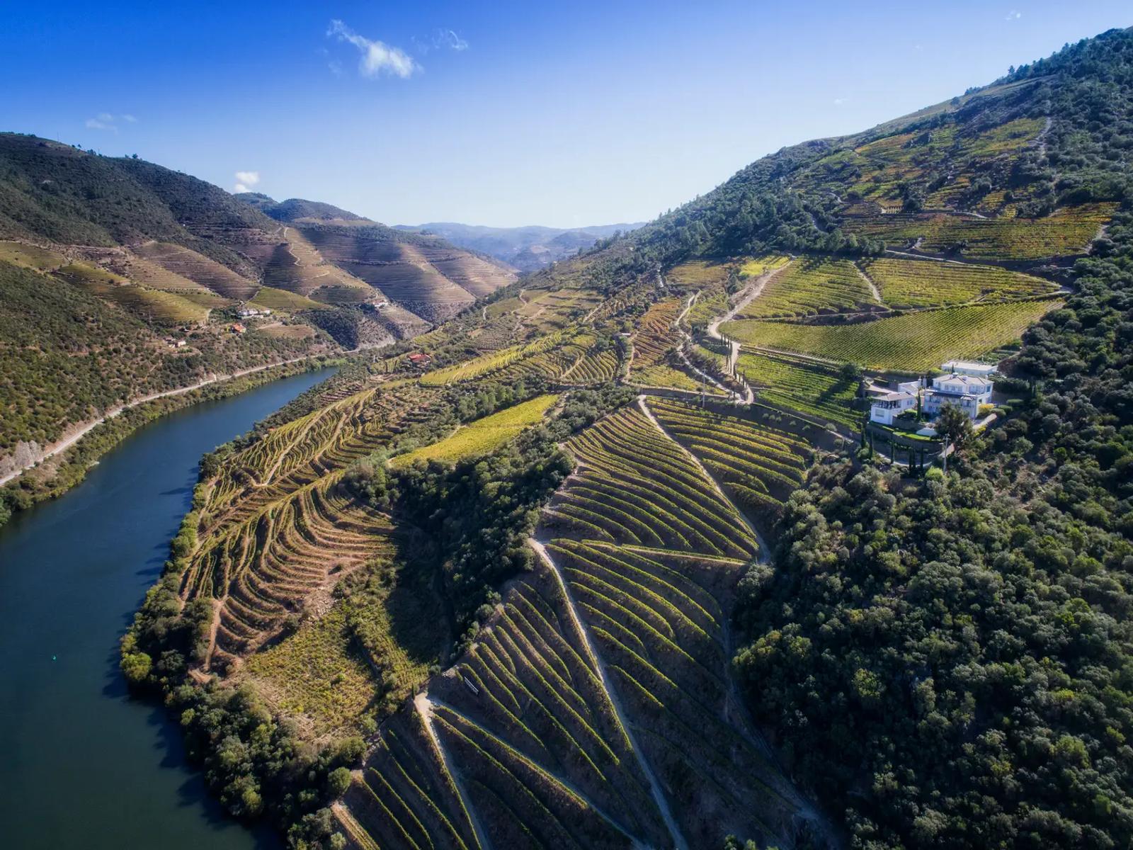 Douro Valley