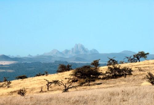 Sirai House Borana Kenya