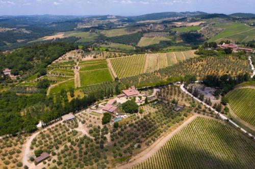 Luxury villa for rent in Tuscany Italy