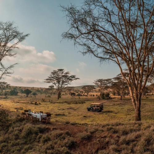 Kenya Safari