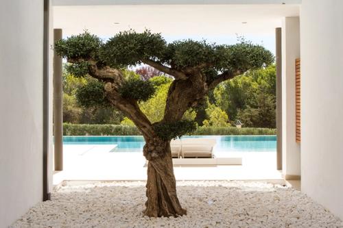 VILLA EMILIO, IBIZA, SPAIN