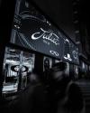 Outline Online