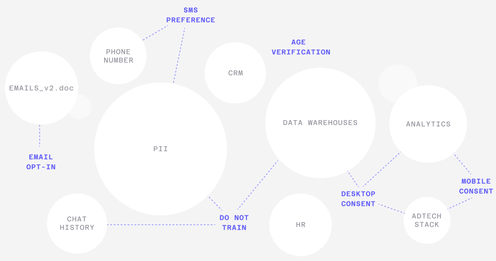 A network diagram showing data connections between PII, data warehouses, analytics, and various consent types.