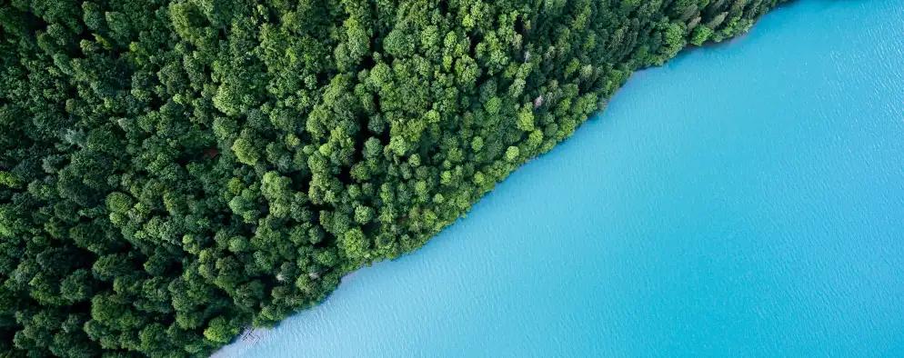 Lush green forest bordered by bright turquoise water, creating a striking contrast.