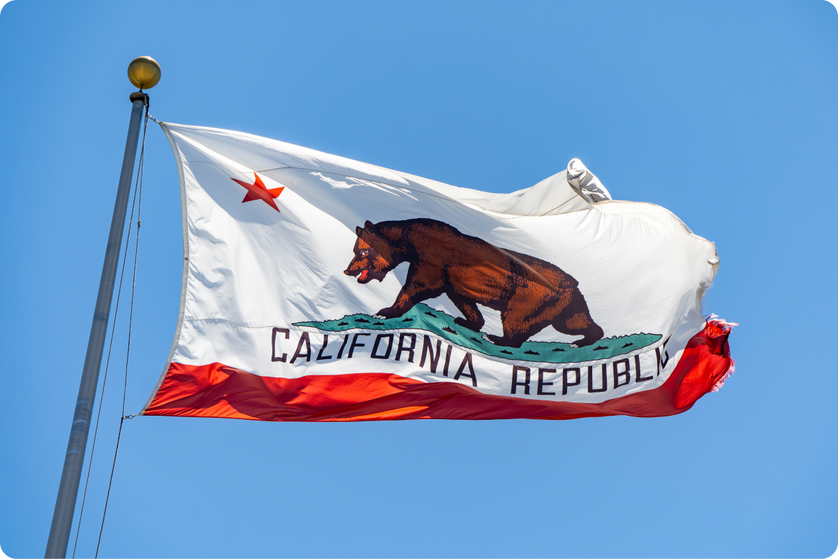 California Republic state flag with a bear and star CA