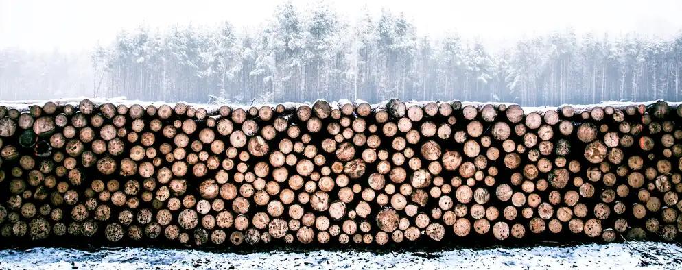Stacks of neatly piled logs are arranged in front of a snowy forest with a misty, overcast sky.
