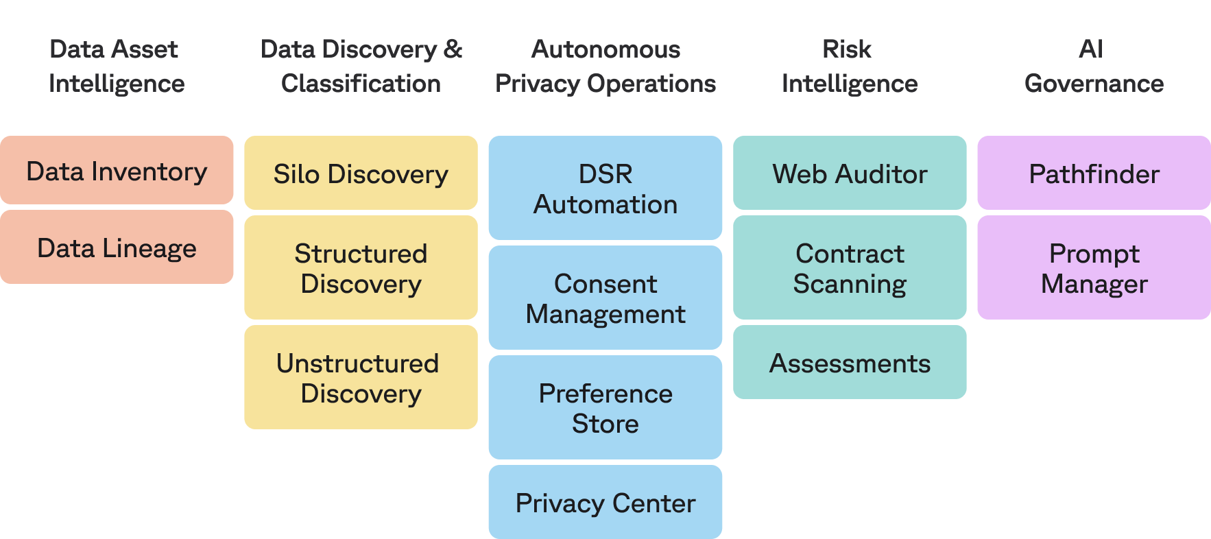 Flowchart titled "Privacy, Risk & Governance Data Intelligence" lists categories: Data Asset Intelligence, Data Discovery & Classification, Autonomous Privacy Operations, Risk Intelligence, AI Governance, each with related functionalities beneath.
