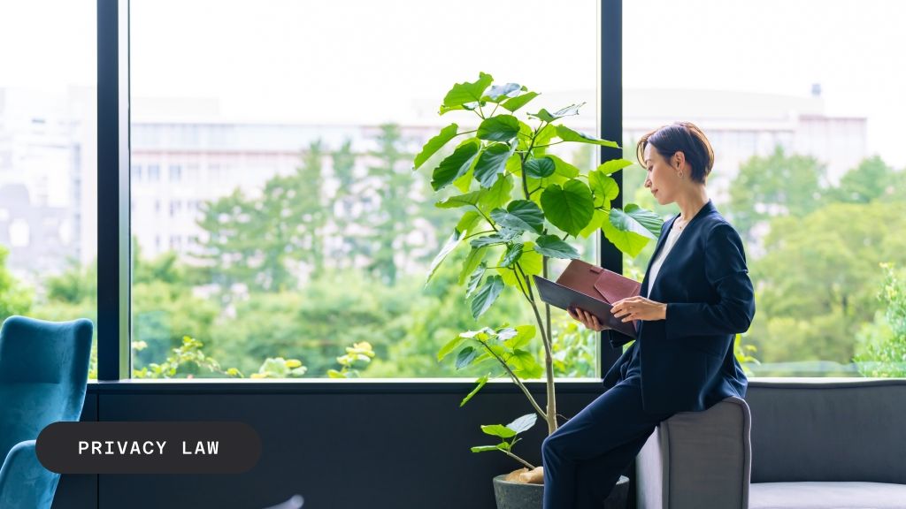 A businesswoman in a suit reads documents by a large window, with "PRIVACY LAW" text overlay.