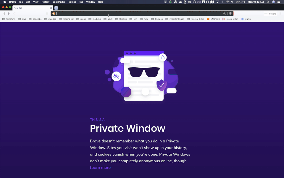A browser illustration with sunglasses and a padlock, set against a purple background, accompanies text explaining the concept of a "Private Window" that doesn't store history or cookies.