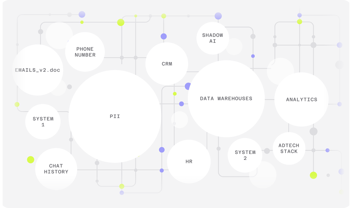 A network diagram showing 'PII' at the center, connected to data systems like 'Data Warehouses', 'Analytics', and 'CRM'.